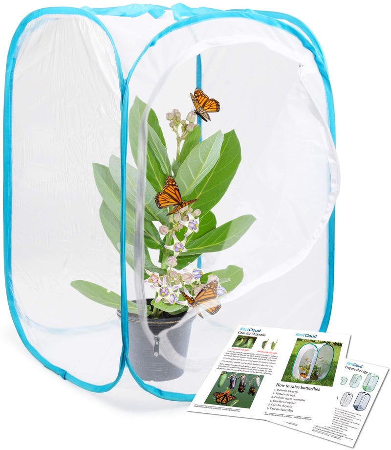 RESTCLOUD Insect and Butterfly Habitat Cage Terrarium Pop-up 24 Inches Tall - Image 1